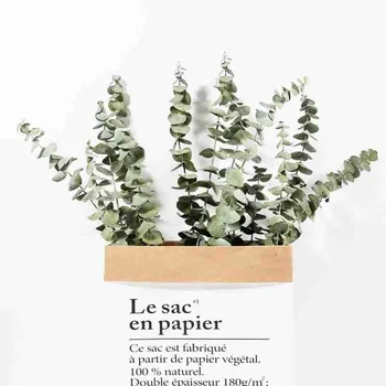 

10 Pcs Natural Dried Flowers Primary Colors Eucalyptus Leaves Bouquet Home Wedding Living Room Plants Decoretion Accessories