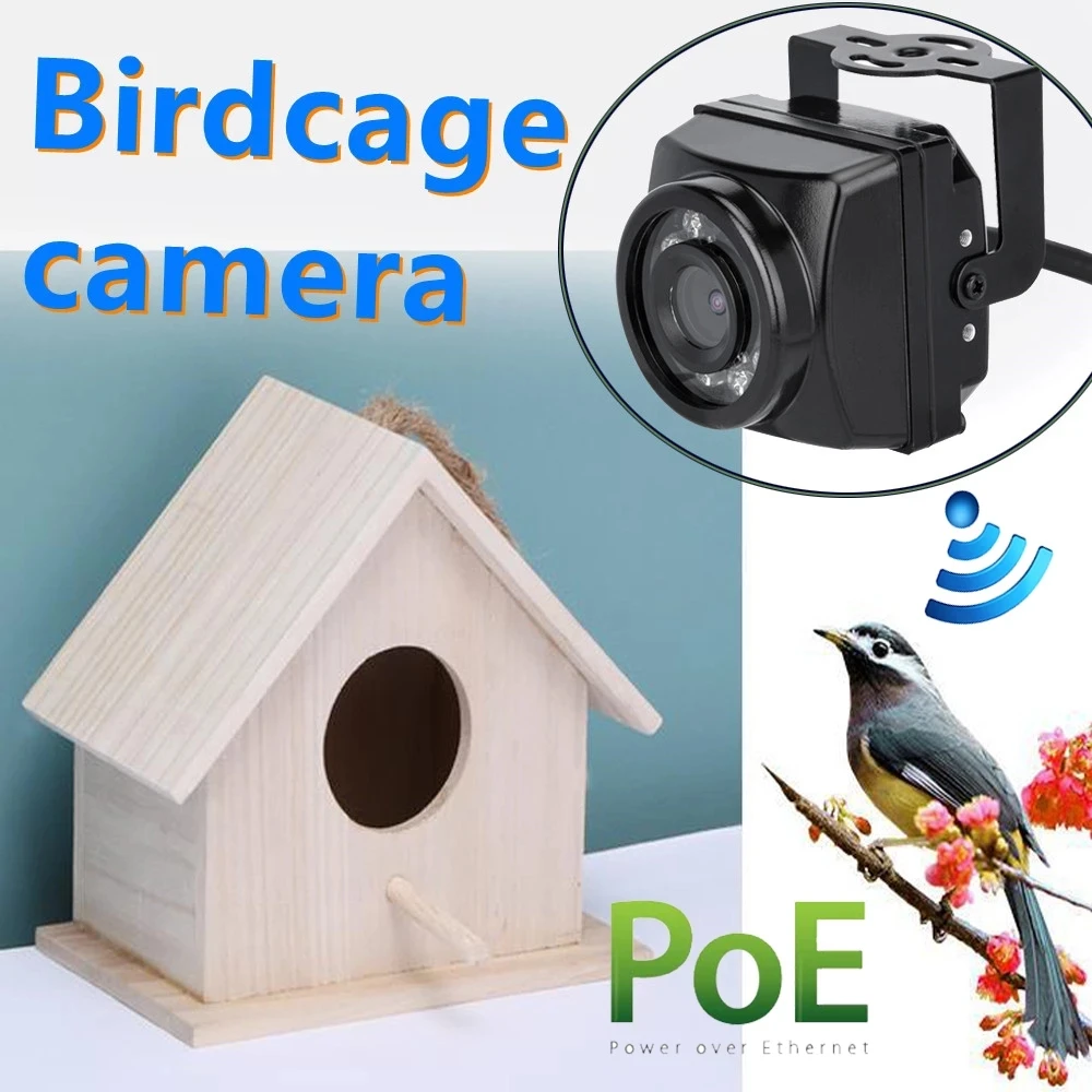 Camhi Mini WiFi Bird Camera 1080P Outdoor Pet Nest Video Security For
