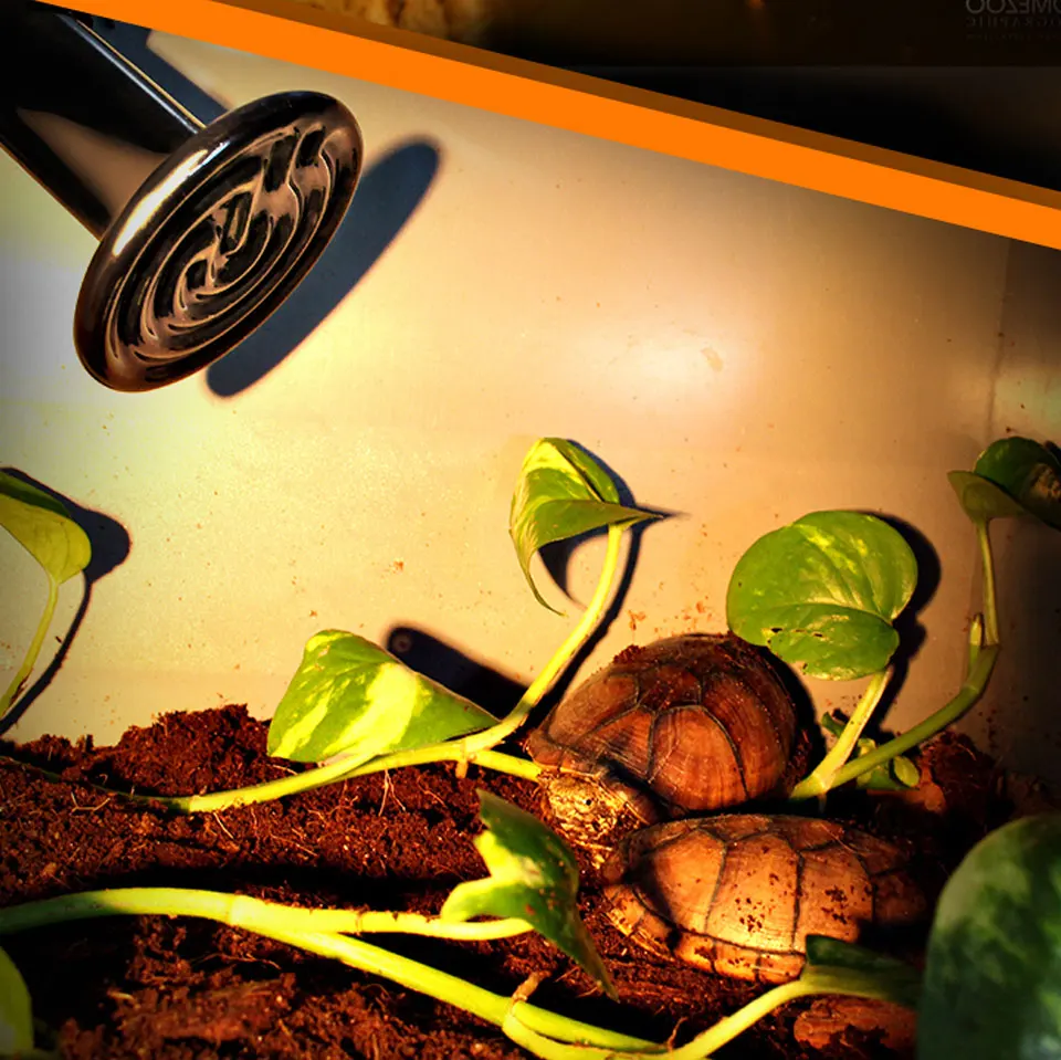 Title 2, Pet Reptile Heating Lamp 25/50/75/100/150/200W ...