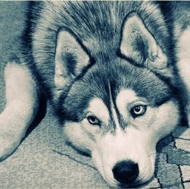 36020190314164216084