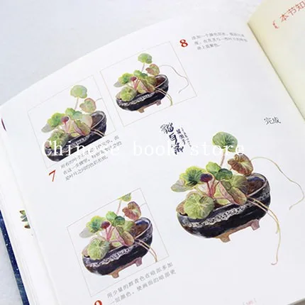 Учебная книга по акварелью практичная для рисования цветов и овощей|painting book|painting