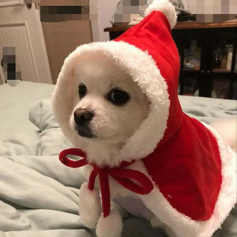 Новая мода зима Рождество Собака Санта шляпа плащ щенок Рождество теплая одежда костюм наряд