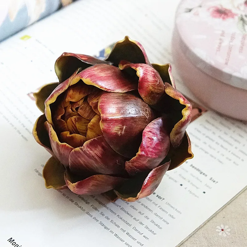 Artichoke fruit