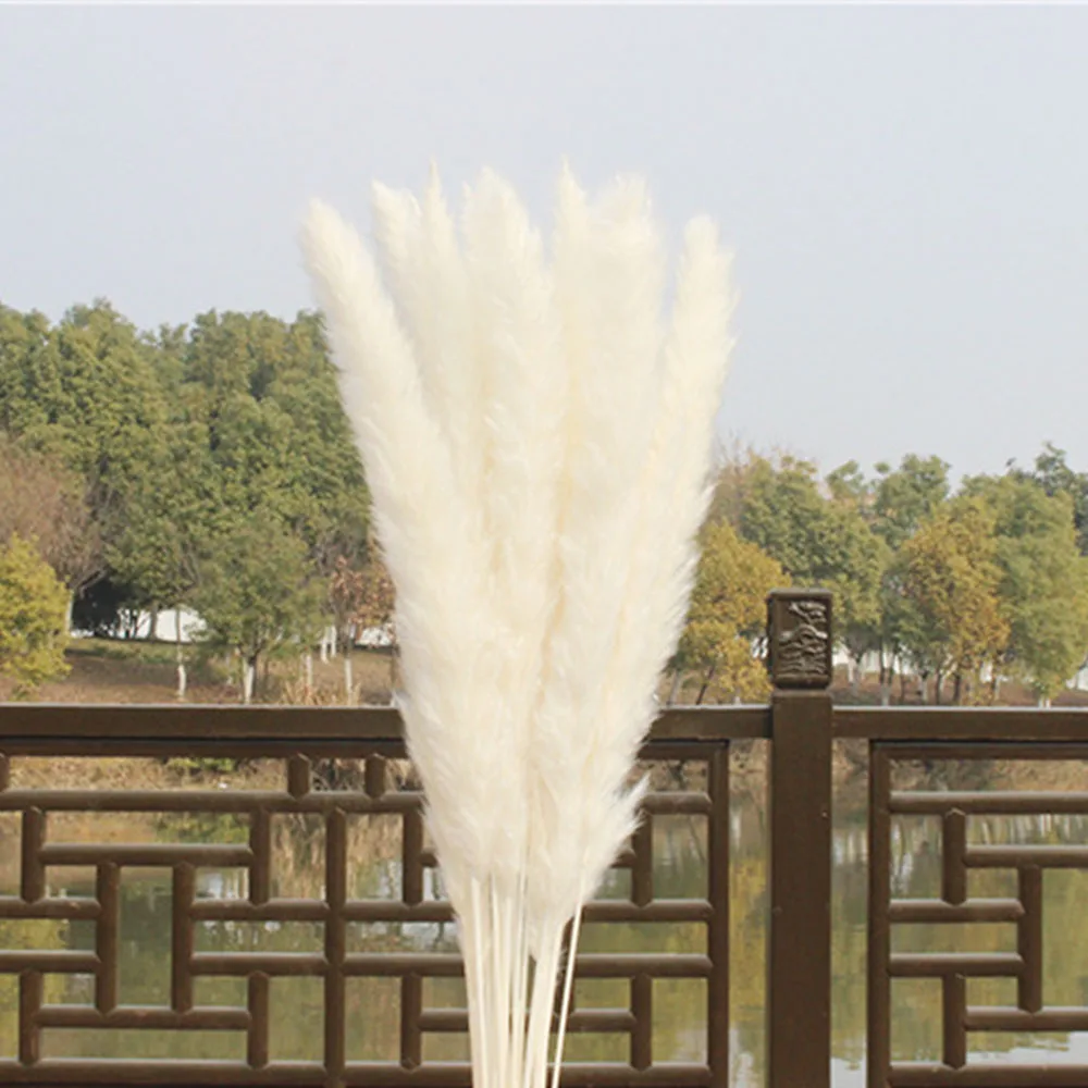 15 шт./компл. засушенный натуральный пампасная трава Рид домашний свадебный цветок букет декора
