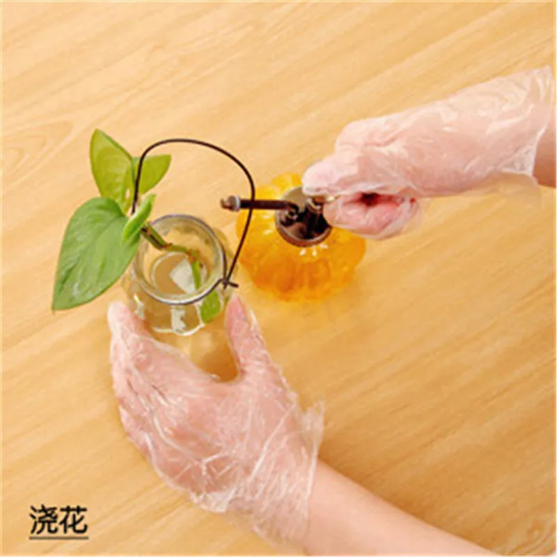 50pcs-Household-cleaning-gloves-hair-salon-dyeing-disposable-gloves-plastic-film-hairdressing-hair-care-transparent-gloves (5)