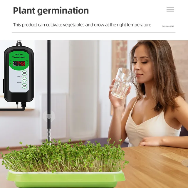 110V 220-240V Digital Display Reptile Humidifier Seedling Heat Mat  Adjustment Ssensor Thermostat Temperature Controller EU/US/UK - AliExpress