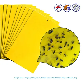 

In Store 20/40/50pcs Strong Flies Traps Bugs Sticky Board Catching Aphid Insects Control Whitefly Thrip Leafminer Glue Sticker