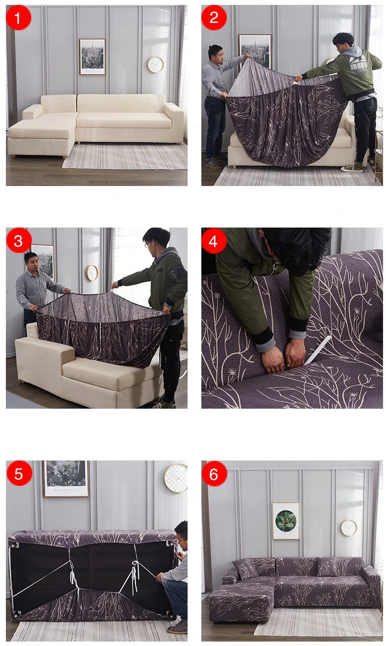 11765504510_1690726818