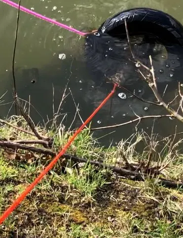 Ud0165a4c87a141e6b6c1baa708d5e5c21