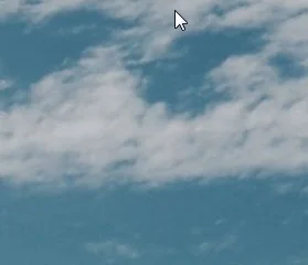 00000