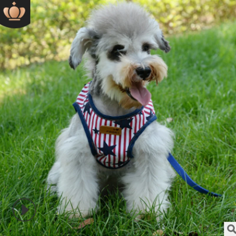 

Pet Traction Rope Vest-style Cowboy rope Walking Dog Chest Strap Suit