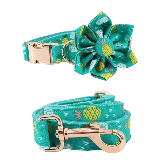 collar-flower-leash
