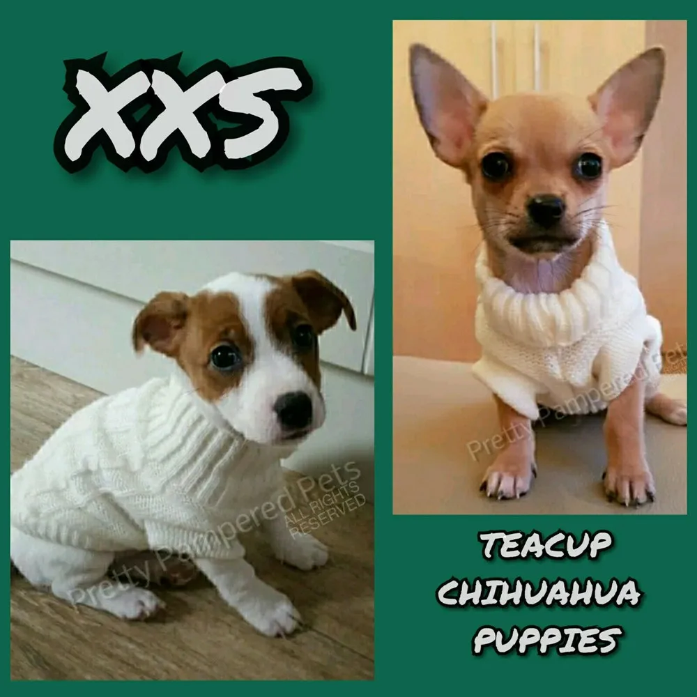 Puppy Dog Sweater Tiny for 1 Lb XXXXS/XXXS Rustic Soft Alpaca Blend W/Rose Option Chunky and Warm Teacup Puppies Yorkie Chihuahua Pomeranian 