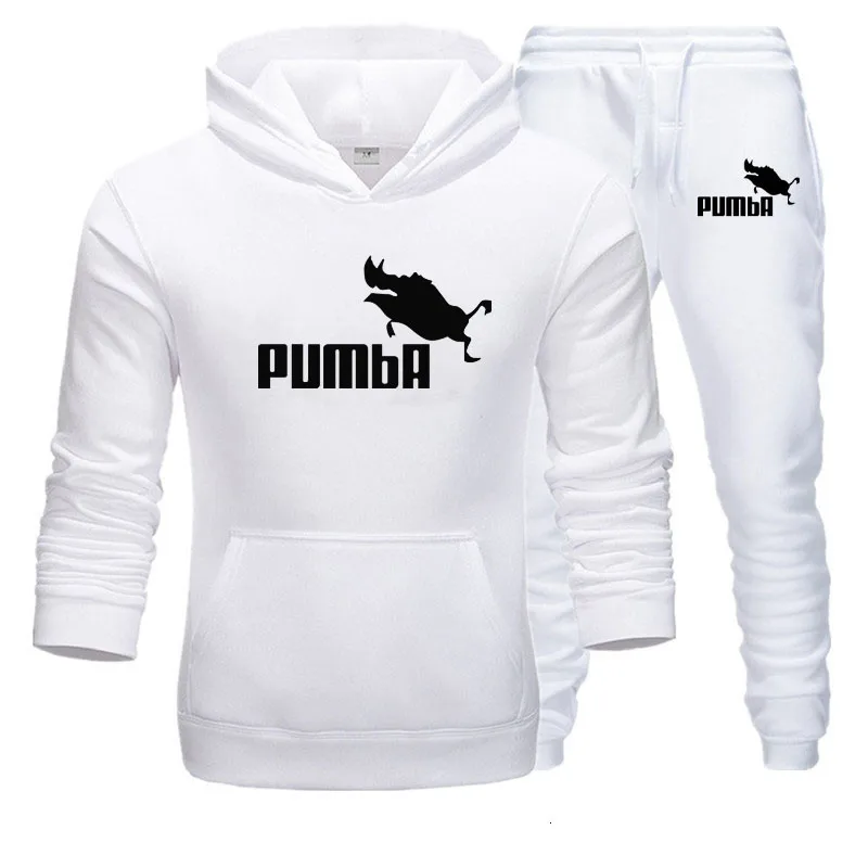 

2 Pieces Sets Tracksuit Men Hooded Sweatshirt+pants Pullover Hoodie Sportwear Suit Ropa Hombre New Casual Men Clothes Size S-3XL