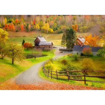 

Gold Autumn Photography Background 10x10 European Style Small Village Path Road Photo Backdrop Nature Scenic Studio Background