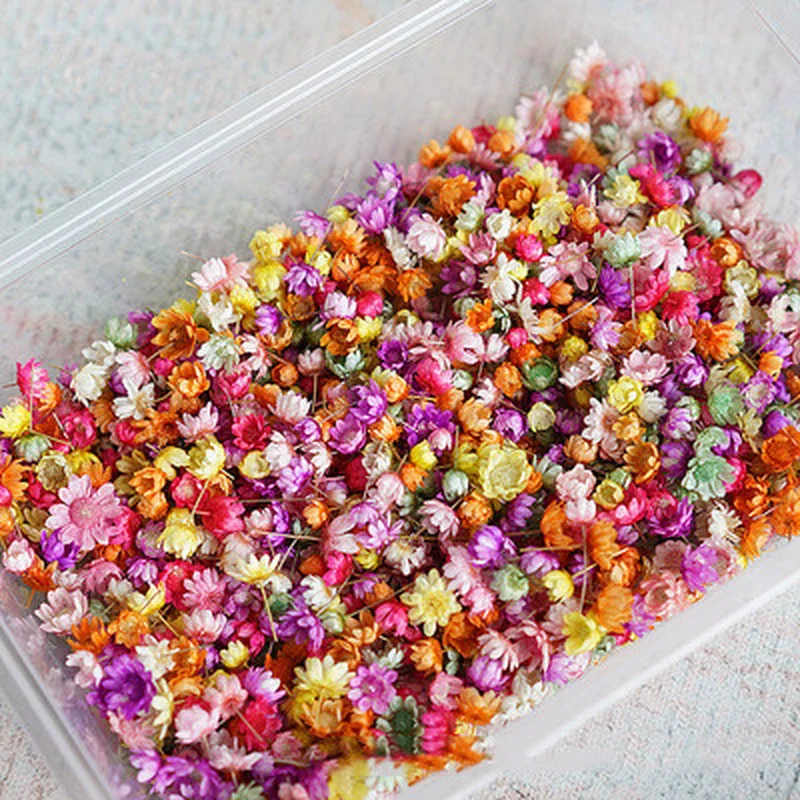 140pcs Real Dried Flowers Diy Art Craft Epoxy Resin Candle Making Jewellery Home Party Decorative Dry Press Photo Prop | Дом и сад