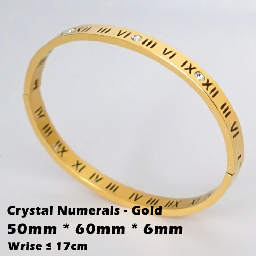 CN-Gold-6mm Трендовые Кристальные браслеты для женщин, серебряный, золотой, розовый браслет, титановые браслеты для любви, браслеты из нержавеющей стали, ювелирные изделия - Окраска металла: CN-Gold-6mm