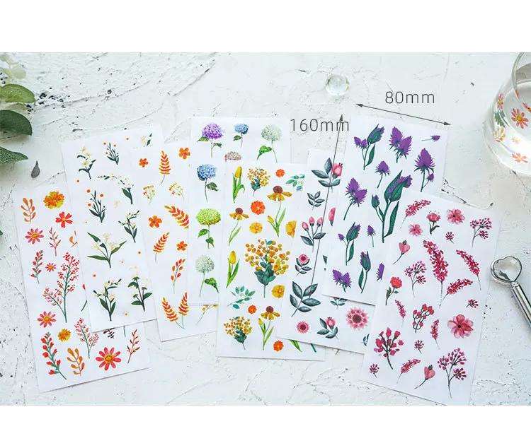 12435695997_1904087305