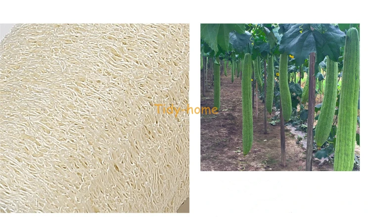 8962670408_1060736025 (2)