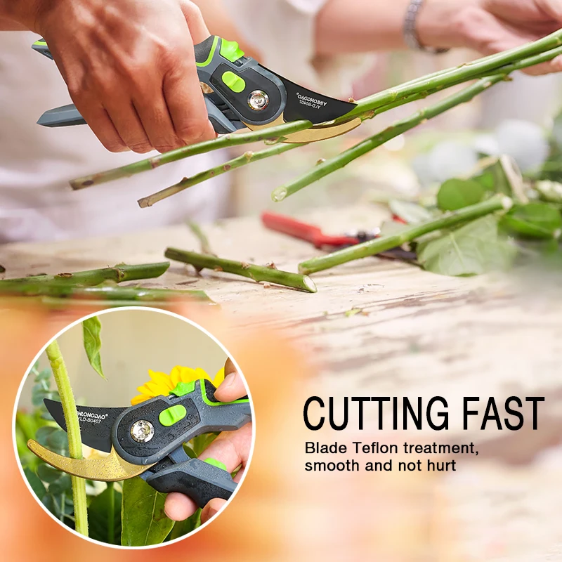 DTBD Plant Trim Horticulture Pruner Cut Secateur Shrub Garden Scissor Tool Branch Shear Orchard Pruning Shears Folding Saw Set