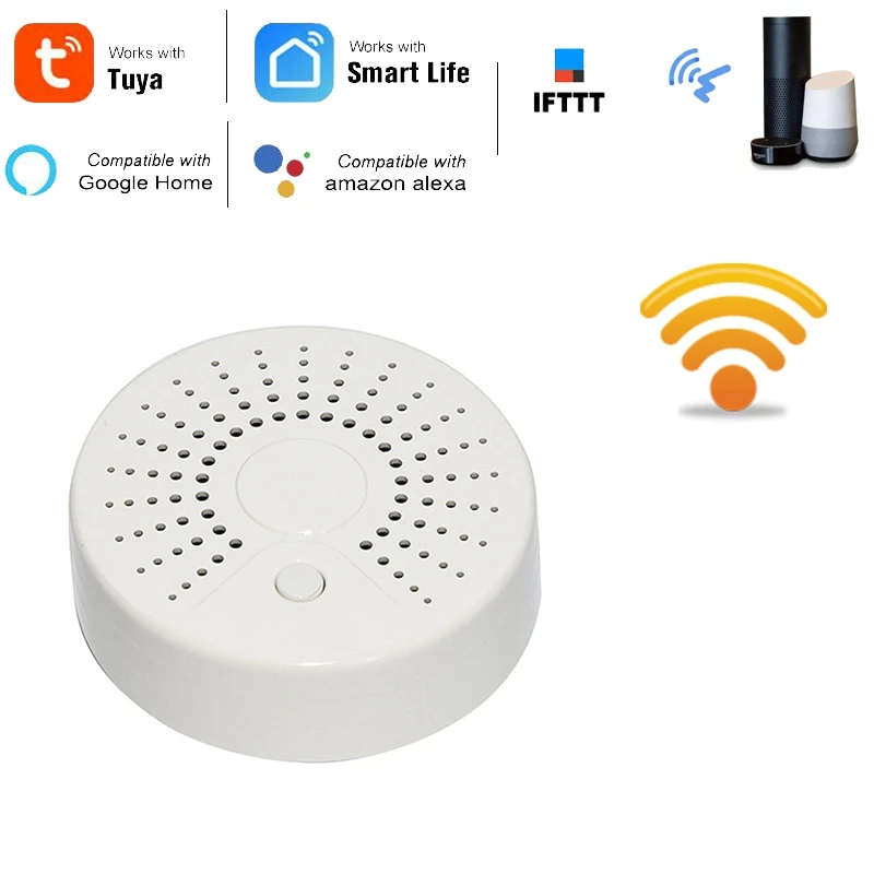 

AAAE Top-2-In 1 Smart WiFi Smoke Detector/Sensor and Temperature Alarm Battery Operated Security Alarm Sensor Work with Alexa Go