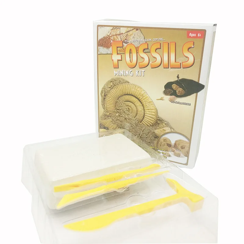 

Cross Border Hot Sales Model Archeology Discover Toy Children Early Childhood Educational Dig Shell Model Gypsum Fossil Toy