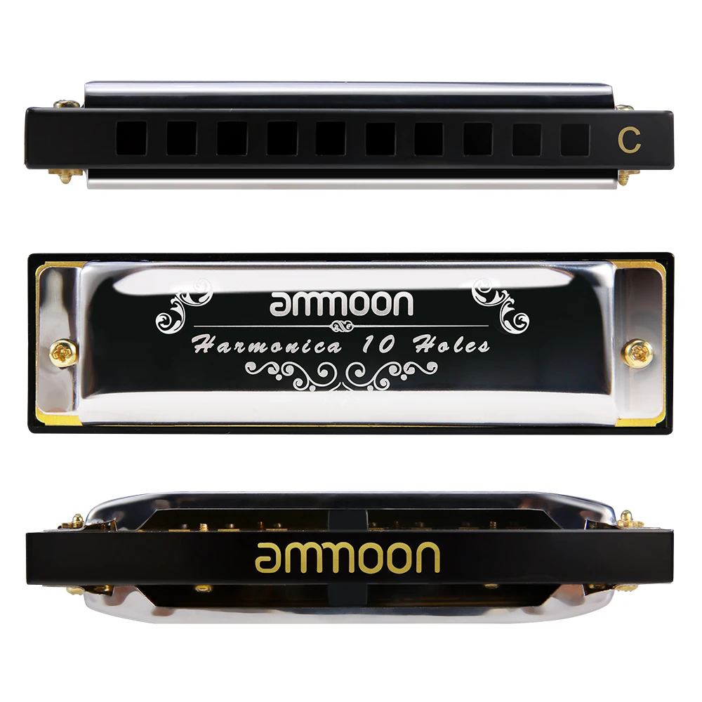 10 Holes 20 Tones Blues Harmonica Beginners Mouth Organ Key of C with Storage Case for Students Children