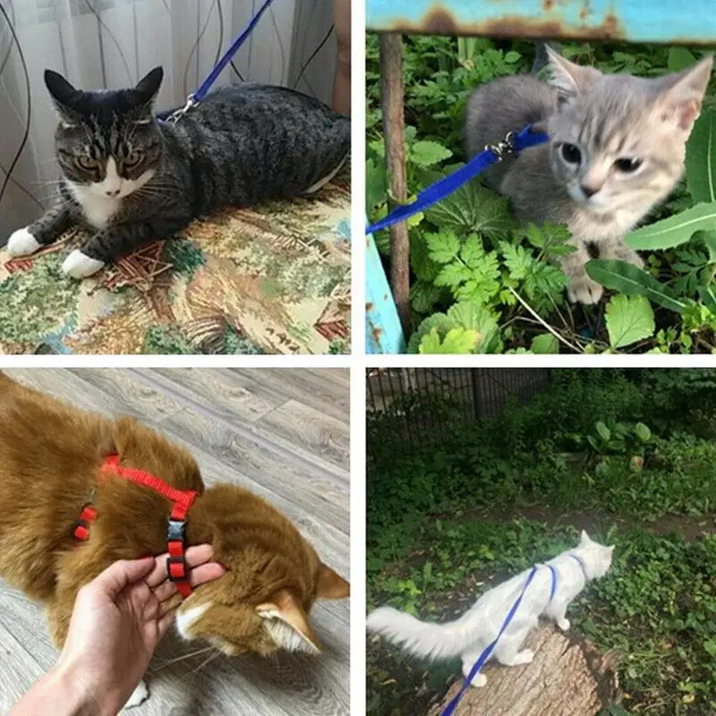 Nylon Cat Harness And Leash Set Pet Products For Animals Adjustable Dog Traction Harness Belt Cat Kitten Halter Cat Collar Nylon Cat Harness And Leash Set Pet Products For Animals Adjustable Dog Traction Harness Belt Cat Kitten Halter Cat Collar