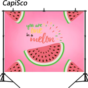 

Capisco Watermelon Party Backdrop One in a Melon Birthday Party Banner Photography Background First Birthday Pink Melon Party