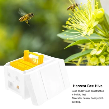 

1Pcs Outdoor Garden Harvest Bee Hive Box Beekeeping King Pollination Box Beekeeping Tool Home Hive Box Beekeeping Equipment