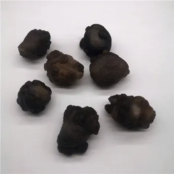 

30--50g Natural Egypt age Meteorite Mineral Specimen Siderolite Crystal Raw Gemstone Decoration Collection Healing Energy Stone