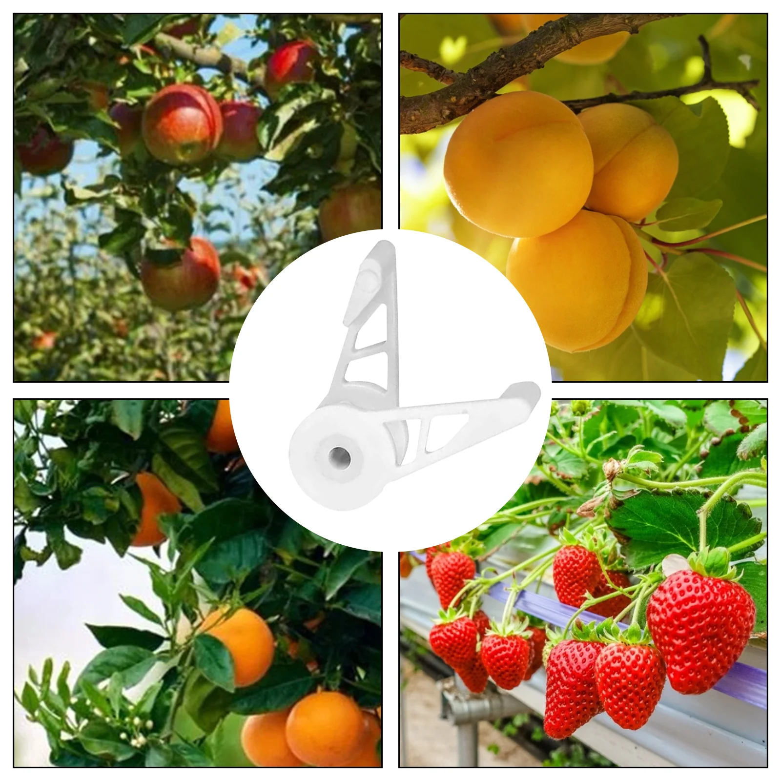 Plant Bender Garden Supplies 10pcs Adjustable 360 Degrees Branch Benders Plant Bender Clips Planter Holder Tools