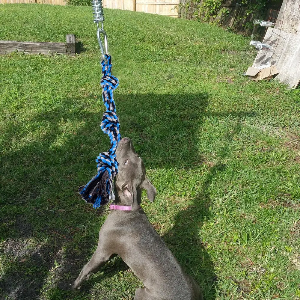 dog hanging rope toy