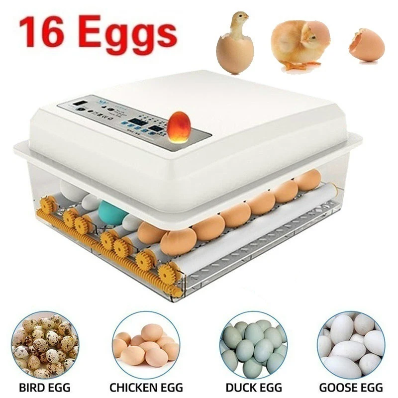 Incubadora automática de huevos de codorniz y Ganso, máquina incubadora de huevos con volteador para granja