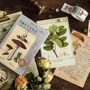 

30pcs Ancient Forest Animals Plants Postcards Lomo Cards Vintage Letter Writing Paper Postcards Birthday Party Greeting Cards