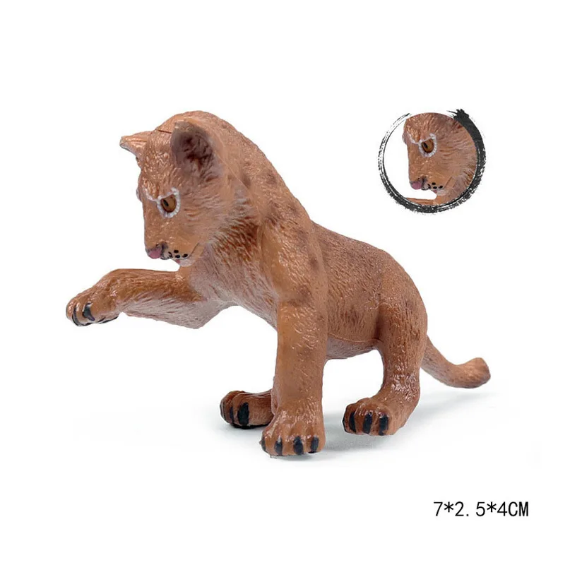 Милые Cub модель моделирования зоопарк дикой природы рисунок прекрасная