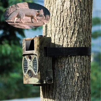 

Night Vision 1080P IP65 Waterproof Hunting Camera Trail Camera MotionCamcorder WildlifeMonitoring Farm Security