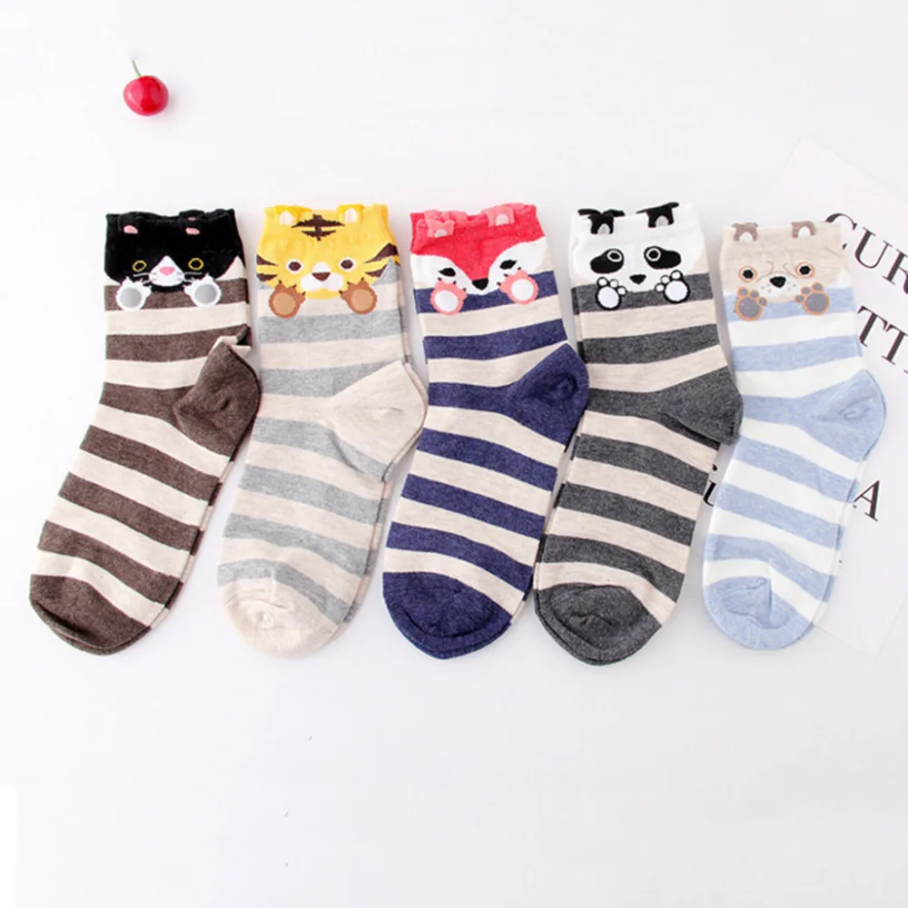 XLP81207697_20181207035115730