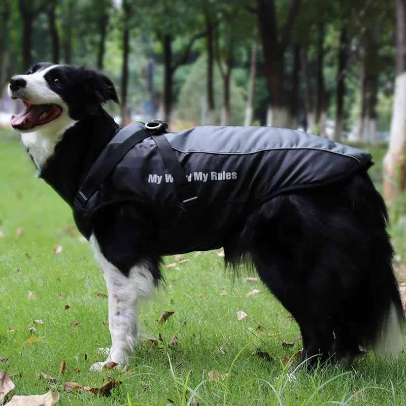 Waterproof winter dog coat with harness – warm and furry collar for large dogs, perfect for labrador, bulldog and more