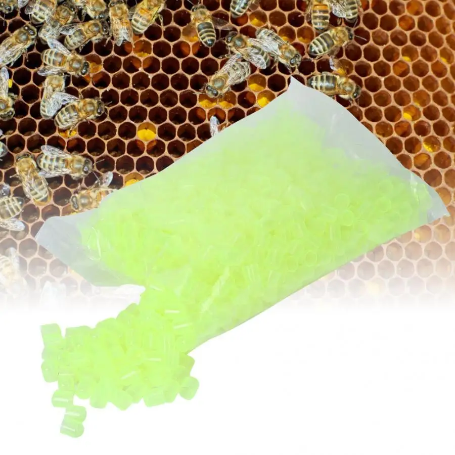 Чашки-ячейки сот для пчеловодства 1000 шт queen Cell Cups queen Rearing system honey Bee queen Cell Cups Пчеловодство поставки