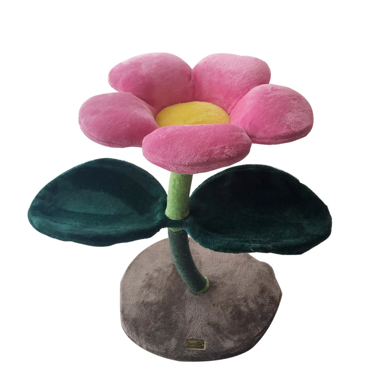 Кошка счастливая как цветок кошка Кэрри поднимается на игрушку прыгает кошачьей