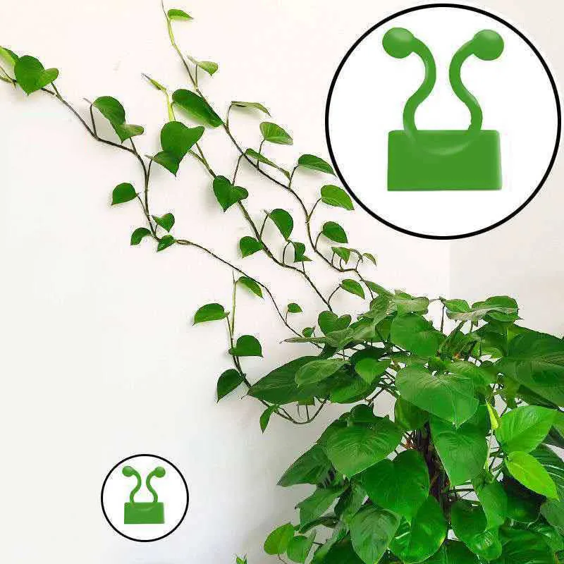 Invisible Wall Rattan Clamp Plant Climbing Wall Self-Adhesive Fixator Vine Buckle Hook Rattan Fixed Clip Bracket Plant Stent Sup plant ties,plastic plant cable ties,plastic plant supports,plant clips,plastic plant clips,plant climbing support,plant support racks,plant adhesive hooks,plant wall hooks,climbing plant trellis