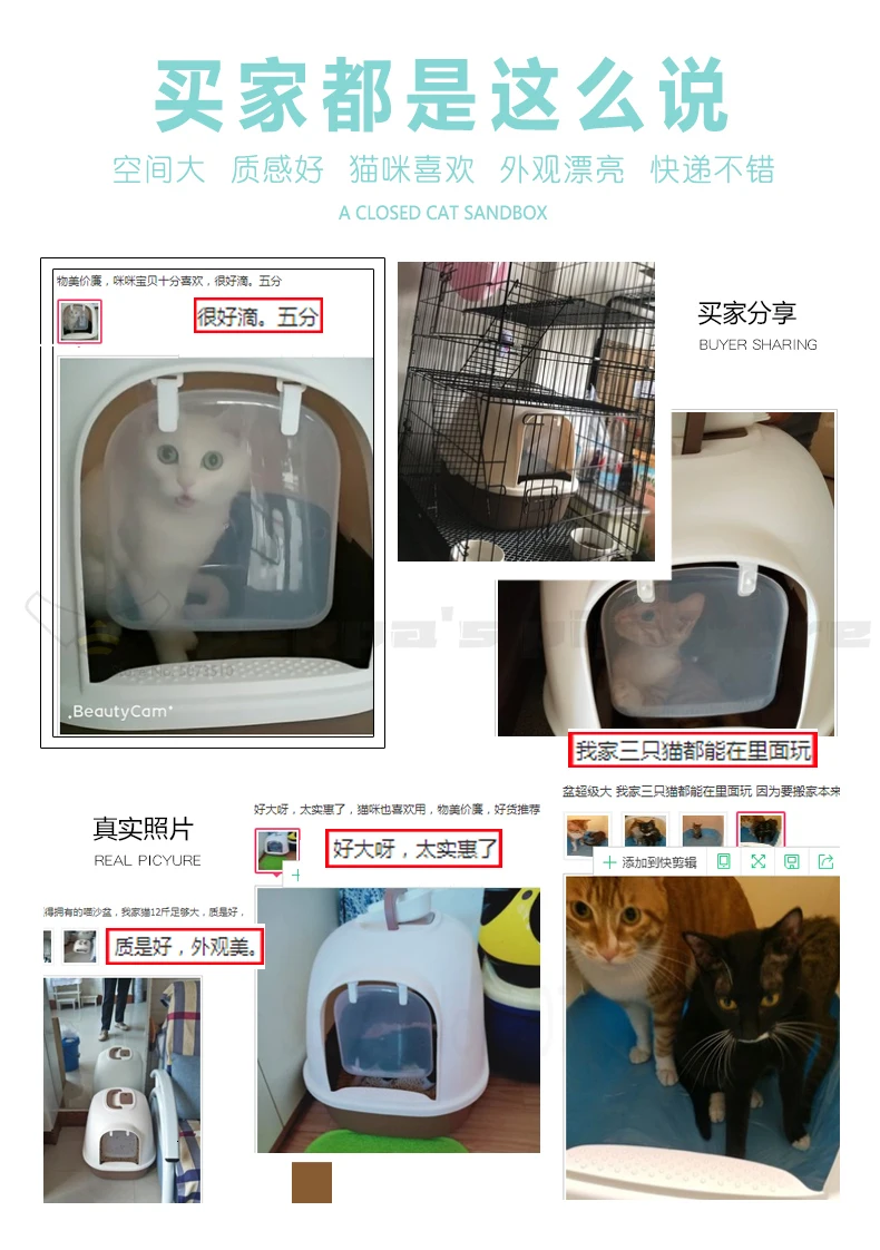 Кошачий песочный умывальник закрыт, кошачьи принадлежности закрыты, кошачий Туалет большой, кошачий Туалет какается, кошка вонючая, кошка брызгается