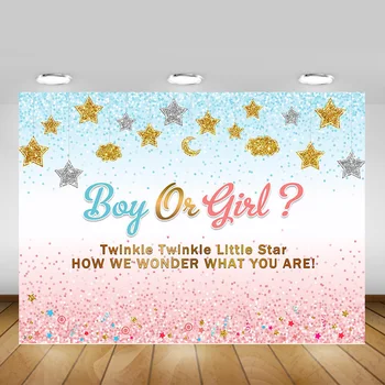 

Boy or Girl Baby Shower Photography Backdrop Gender Reveal Twinkle Twinkle Background Glitter Little Star Pink or Blue Backdrops