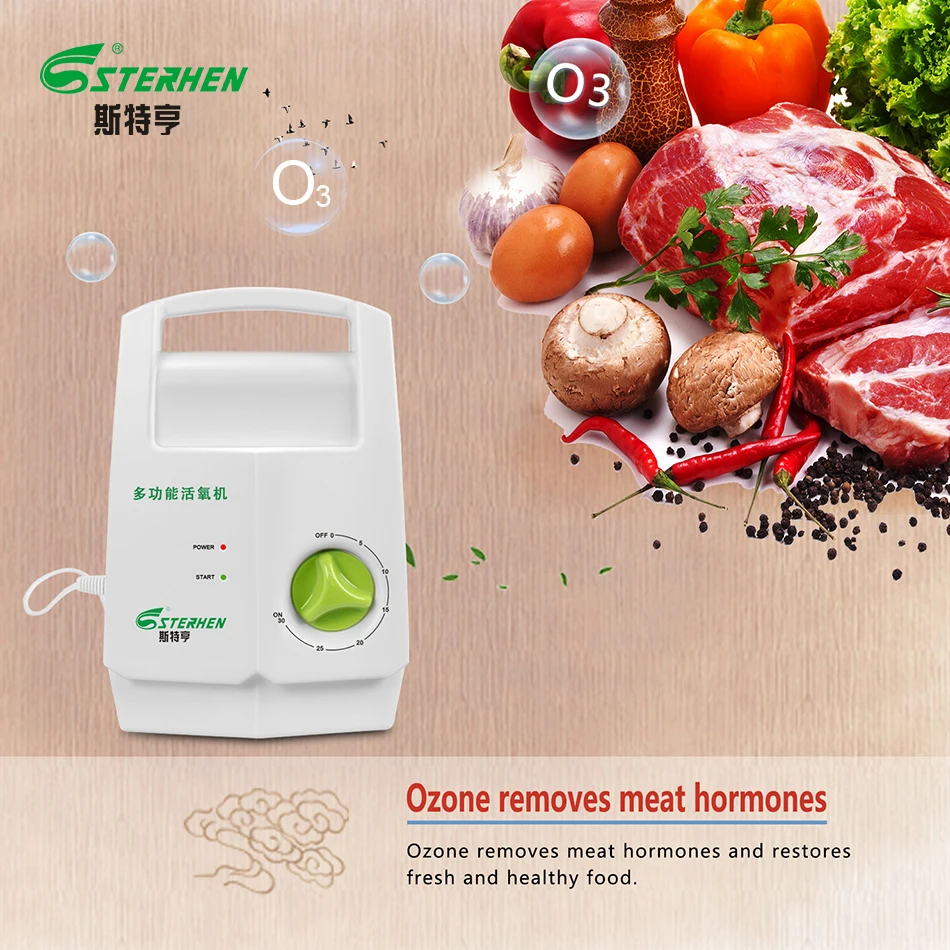 sterhen ozone generator 220v ozone purifier O3 Timer Air Purifiers Cleaning fruits and vegetables Decomposition of pesticides