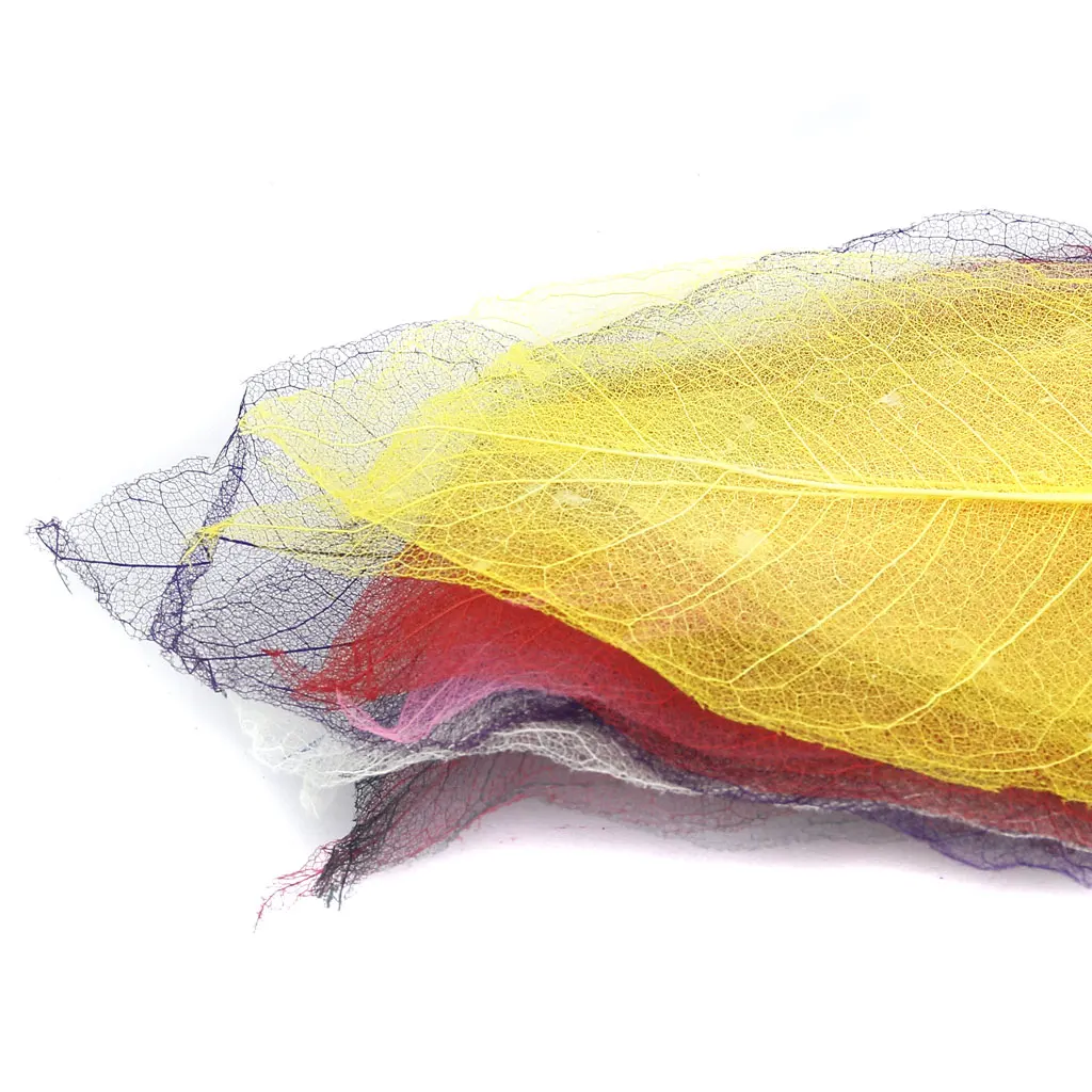 50pcs Natural SKELETON LEAVES Colored SCRAPBOOK Craft Embellishment Bookmark