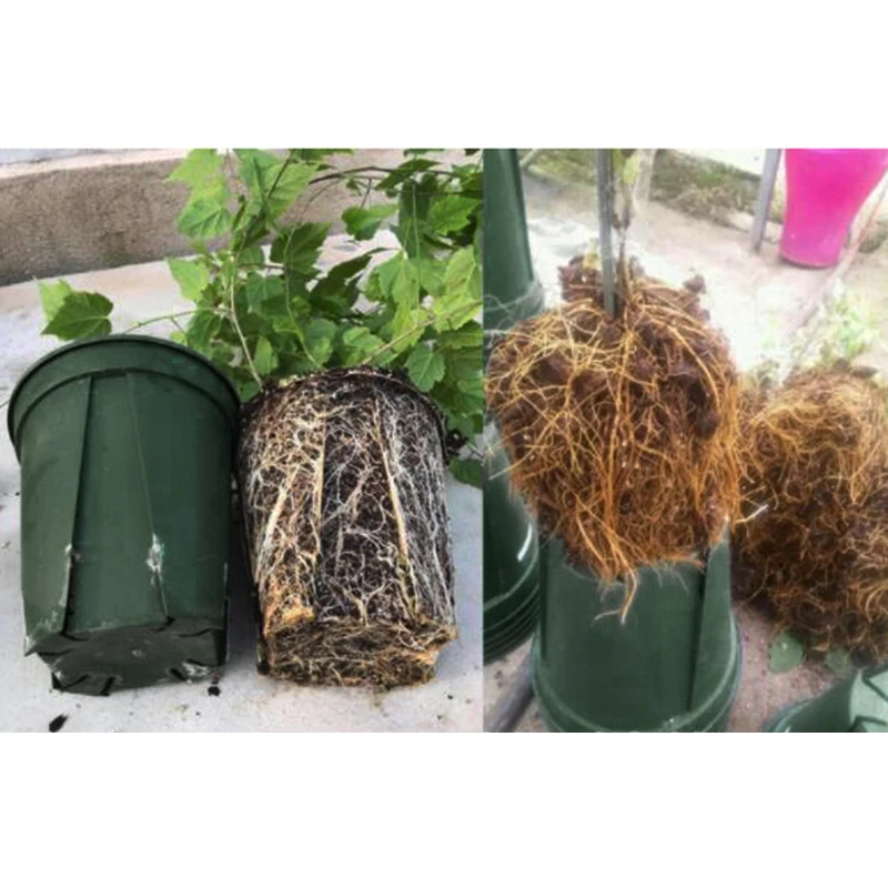 New Plastic Nursery Pots 12/15/18/21/24cm Garden Plant Flower Seedlings Home Garden Supplies