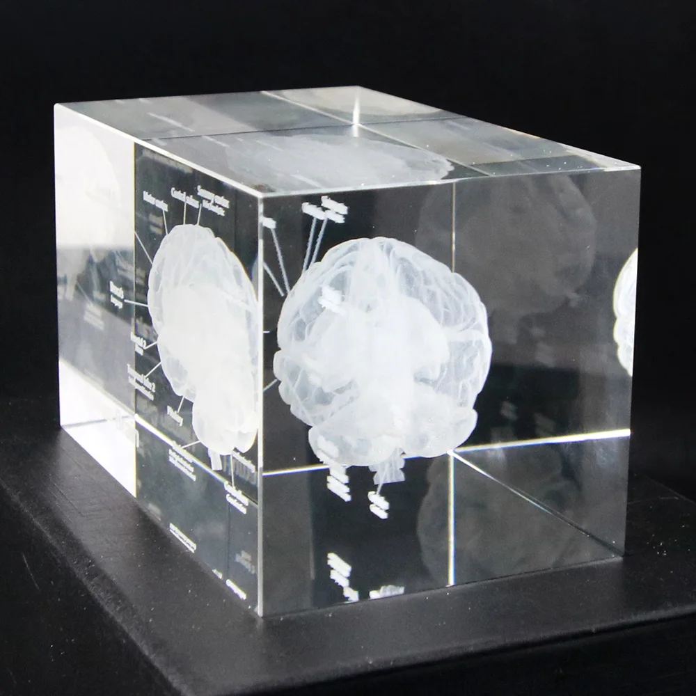 in Crystal Glass Cube Science Gift,No led Base,3.9x2.4x2.4 in 3D Human Heart Anatomical Model,Paperweight Laser Etched 