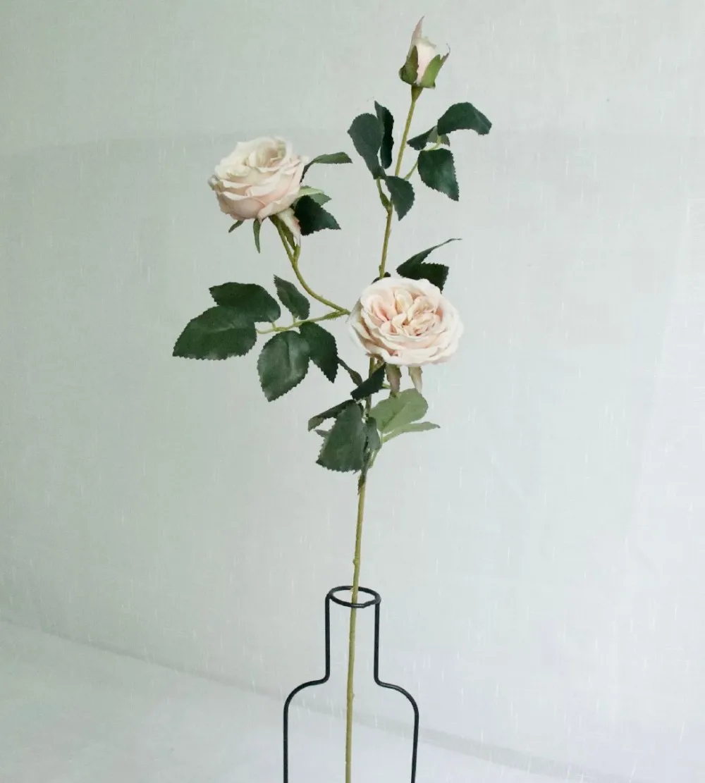 fullsizeoutput_e746