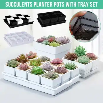 

6/12/15 Pcs/set Square Plastic Succulents Planter Pots With Tray Set Nursery Pot Cactus Plant Pot Garden Pot